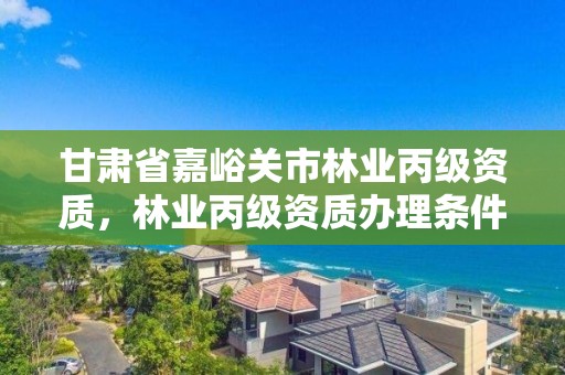 甘肃省嘉峪关市林业丙级资质,林业丙级资质办理条件