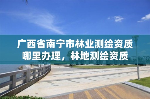 广西省南宁市林业测绘资质哪里办理，林地测绘资质