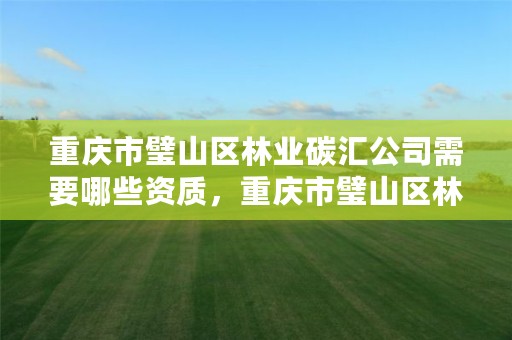 重庆市璧山区林业碳汇公司需要哪些资质,重庆市璧山区林业碳汇公司需要哪些资质认证