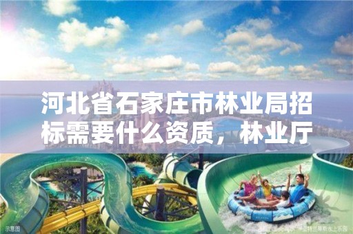 河北省石家庄市林业局招标需要什么资质,林业厅项目招标