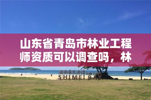 山东省青岛市林业工程师资质可以调查吗,林业工程师证可以挂几个公司