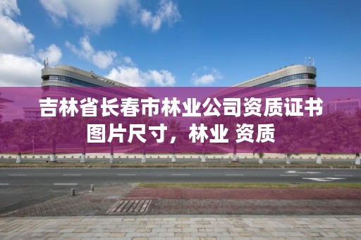 吉林省长春市林业公司资质证书图片尺寸,林业 资质