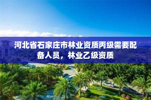 河北省石家庄市林业资质丙级需要配备人员,林业乙级资质