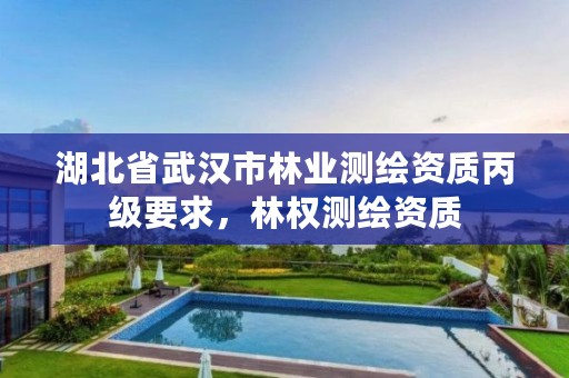 湖北省武汉市林业测绘资质丙级要求,林权测绘资质