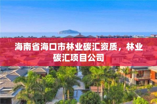 海南省海口市林业碳汇资质,林业碳汇项目公司