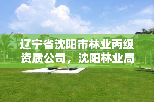 辽宁省沈阳市林业丙级资质公司,沈阳林业局招聘公告