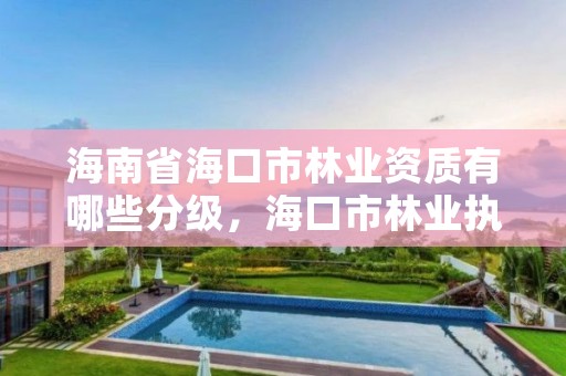 海南省海口市林业资质有哪些分级,海口市林业执法支队