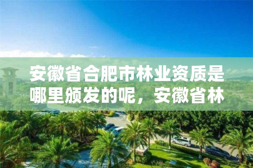 安徽省合肥市林业资质是哪里颁发的呢,安徽省林业局在合肥市哪个区