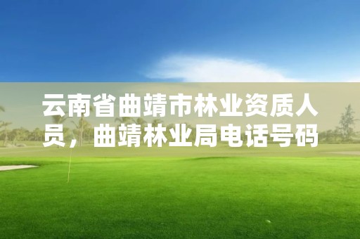 云南省曲靖市林业资质人员,曲靖林业局电话号码