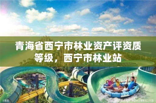 青海省西宁市林业资产评资质等级，西宁市林业站