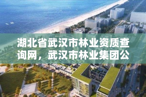 湖北省武汉市林业资质查询网,武汉市林业集团公司官网