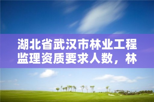湖北省武汉市林业工程监理资质要求人数,林业局监理