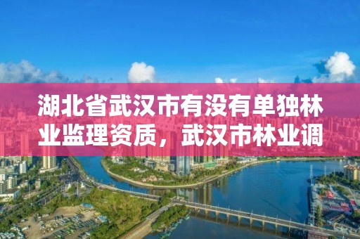 湖北省武汉市有没有单独林业监理资质,武汉市林业调查规划设计院有限公司