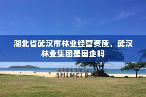 湖北省武汉市林业经营资质,武汉林业集团是国企吗