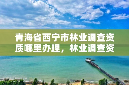青海省西宁市林业调查资质哪里办理，林业调查资质查询