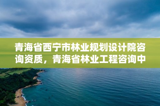 青海省西宁市林业规划设计院咨询资质，青海省林业工程咨询中心是什么性质的单位