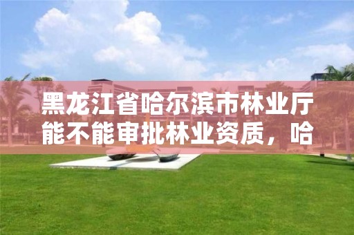 黑龙江省哈尔滨市林业厅能不能审批林业资质,哈尔滨林业厅地址