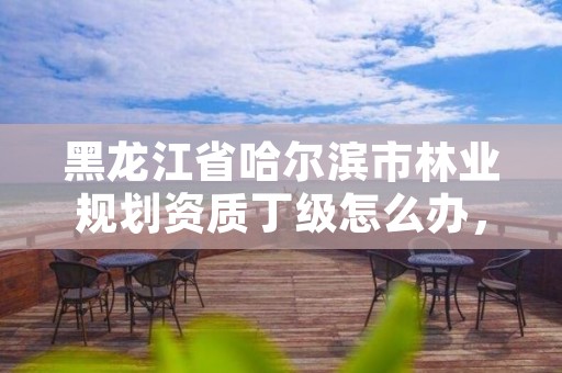 黑龙江省哈尔滨市林业规划资质丁级怎么办,林业规划设计资质标准