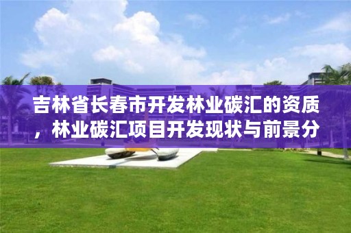 吉林省长春市开发林业碳汇的资质,林业碳汇项目开发现状与前景分析