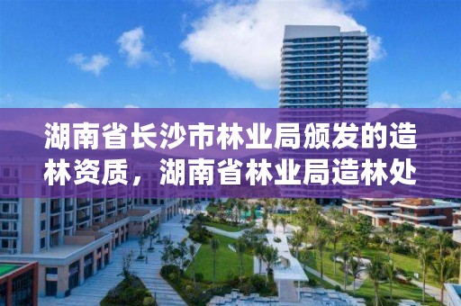 湖南省长沙市林业局颁发的造林资质,湖南省林业局造林处