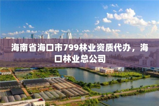 海南省海口市799林业资质代办,海口林业总公司