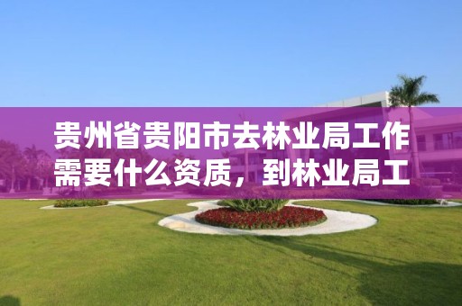 贵州省贵阳市去林业局工作需要什么资质,到林业局工作所要具备的条件