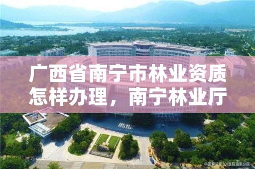 广西省南宁市林业资质怎样办理,南宁林业厅电话
