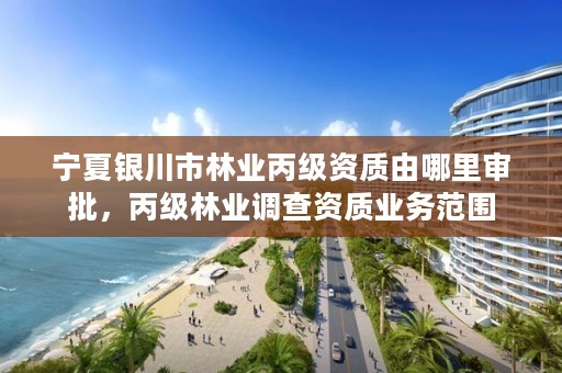 宁夏银川市林业丙级资质由哪里审批,丙级林业调查资质业务范围