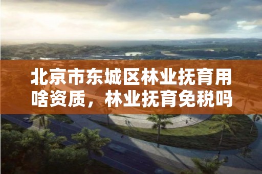 北京市东城区林业抚育用啥资质,林业抚育免税吗