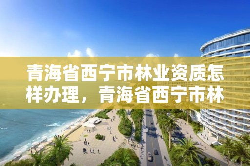 青海省西宁市林业资质怎样办理，青海省西宁市林业和草原局