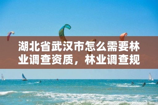 湖北省武汉市怎么需要林业调查资质，林业调查规划资质查询