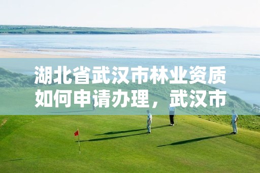 湖北省武汉市林业资质如何申请办理,武汉市林业集团有限公司