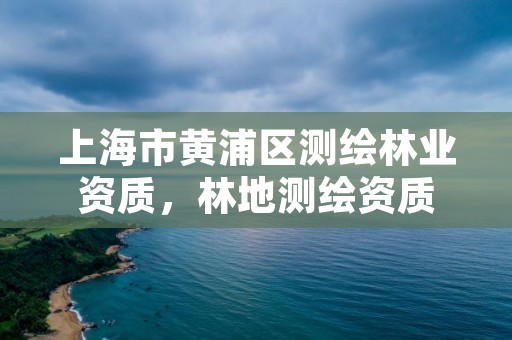 上海市黄浦区测绘林业资质,林地测绘资质