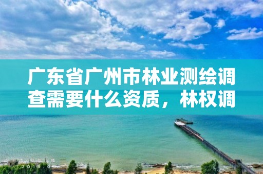 广东省广州市林业测绘调查需要什么资质，林权调查 测绘资质