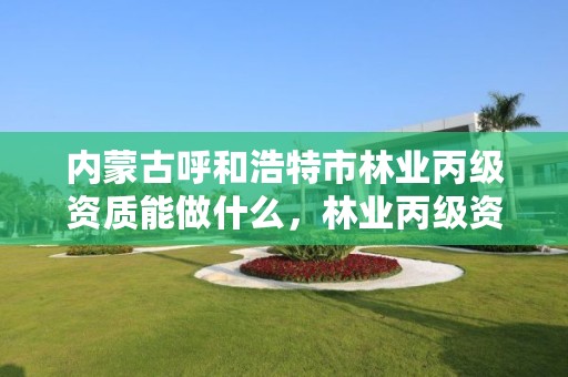 内蒙古呼和浩特市林业丙级资质能做什么,林业丙级资质业务范围