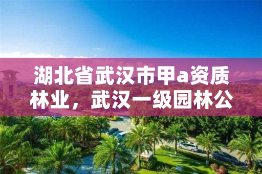湖北省武汉市甲a资质林业,武汉一级园林公司