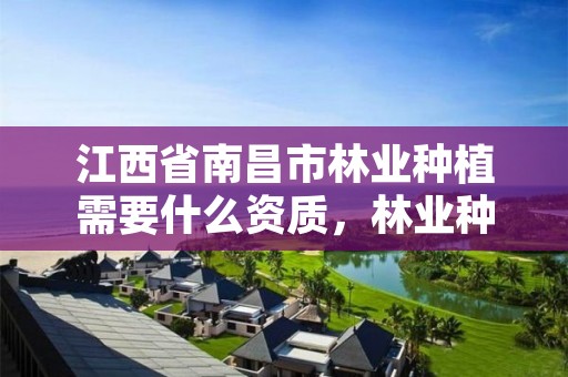 江西省南昌市林业种植需要什么资质,林业种植国家补贴政策