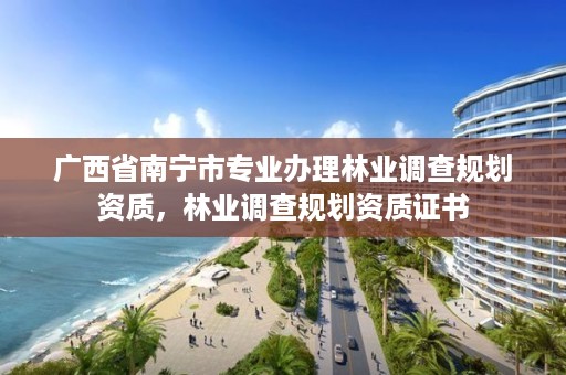 广西省南宁市专业办理林业调查规划资质，林业调查规划资质证书