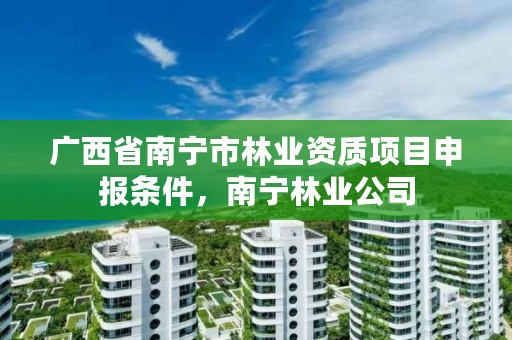广西省南宁市林业资质项目申报条件,南宁林业公司