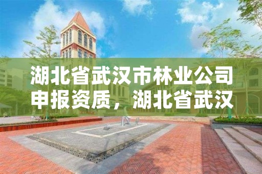 湖北省武汉市林业公司申报资质,湖北省武汉市林业局