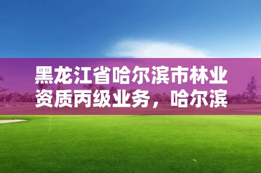 黑龙江省哈尔滨市林业资质丙级业务,哈尔滨林业服务总站