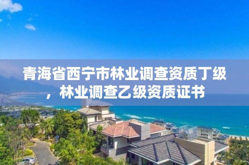 青海省西宁市林业调查资质丁级，林业调查乙级资质证书