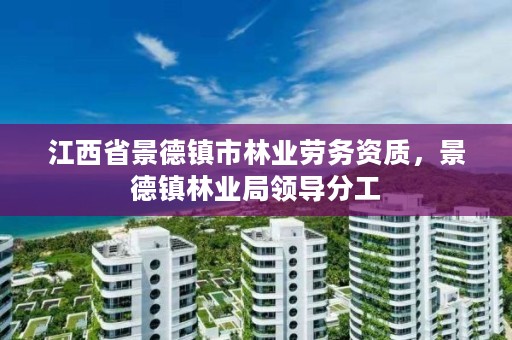 江西省景德镇市林业劳务资质,景德镇林业局领导分工