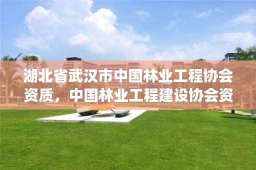 湖北省武汉市中国林业工程协会资质,中国林业工程建设协会资质管理办公室