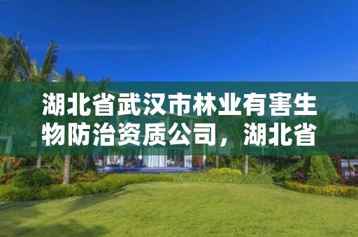 湖北省武汉市林业有害生物防治资质公司，湖北省林业有害生物防治检疫总站地址