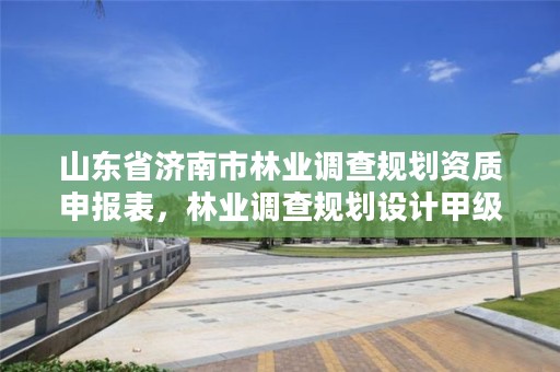 山东省济南市林业调查规划资质申报表,林业调查规划设计甲级资质