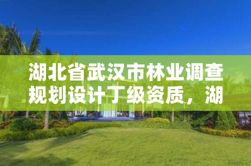 湖北省武汉市林业调查规划设计丁级资质，湖北省林业调查规划院怎么样