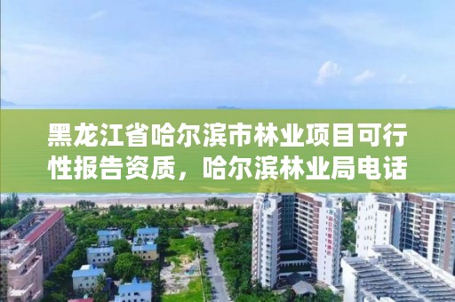 黑龙江省哈尔滨市林业项目可行性报告资质,哈尔滨林业局电话号码
