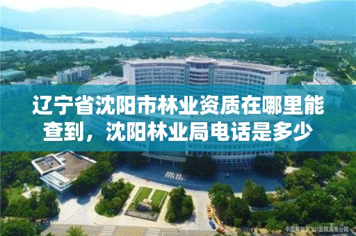 辽宁省沈阳市林业资质在哪里能查到,沈阳林业局电话是多少