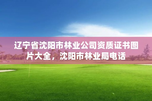 辽宁省沈阳市林业公司资质证书图片大全,沈阳市林业局电话